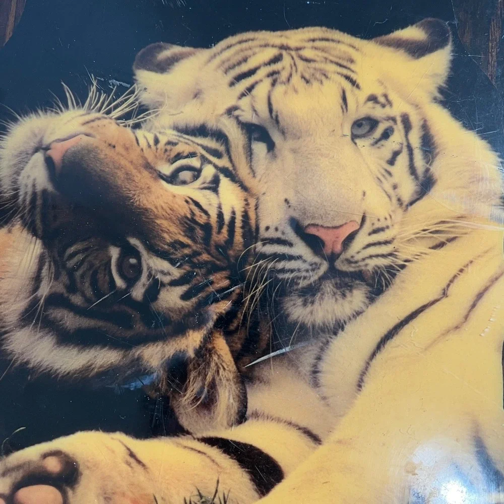 Vintage White Tiger Wood Resin Wall Plaque Retro Wildlife Scalloped Art
